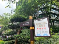 -泡桐树街