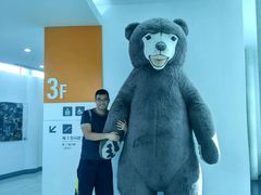 -济州岛泰迪熊博物馆