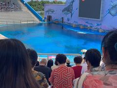 -北戴河圣蓝海洋公园