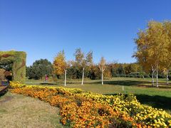 -长春公园(普阳街道)