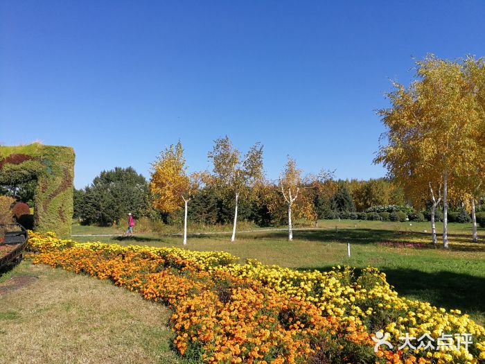 长春公园(普阳街道)图片