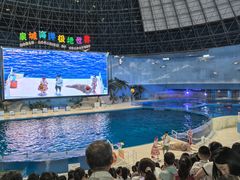 -泉城欧乐堡海洋极地世界