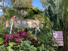 -海南热带野生动植物园