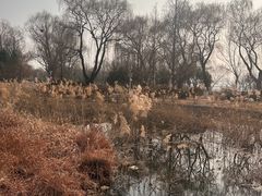 -济南国际园博园