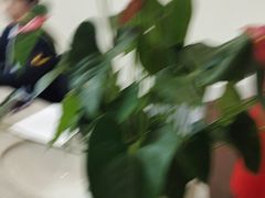 -优诺口腔·VIP尊享中心(爱建机构)