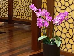 -白云中餐厅·粤菜·亚龙湾喜来登度假酒店