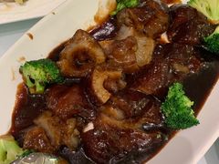 -蝶园·装修中(BFC外滩金融中心店)