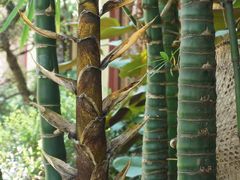 -小榄人家酒楼(民安店)