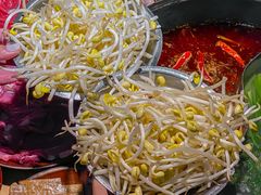 -阳阳老火锅(小南门店)