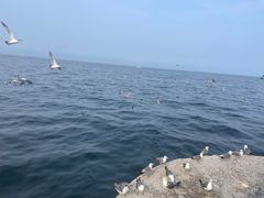 -大连海昌东方水城