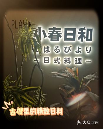 精致日料|好吃清新的日式料理