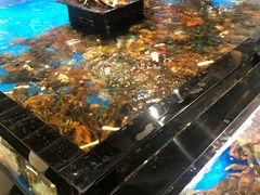 -金鹰超市(国际购物中心新街口店)