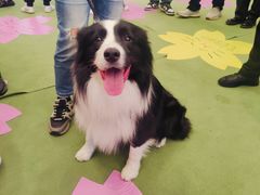 -凯德广场(武胜路店)