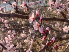 -北运河水利风景区