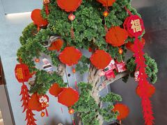 -比格比萨自助(万柳华联店)