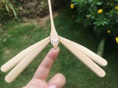 -桤木河湿地公园