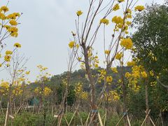 -求水山公园
