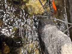 -湘芙蓉·湖南菜(椒江店)