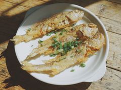 小黄鱼-小河无名面馆
