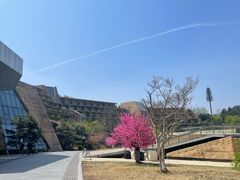 -北京中信金陵酒店