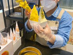 -野人先生现做冰淇淋(西安赛格店)
