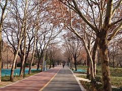 -达活泉公园
