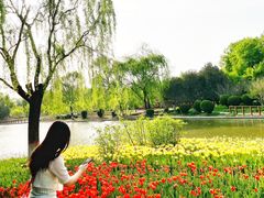 -石家庄市植物园