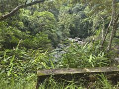-海南热带雨林国家公园吊罗山景区