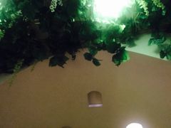 -汤臣海派理疗公馆