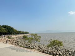 -深圳湾公园(南山区)