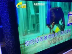 -欢乐糖果KTV(长江店)