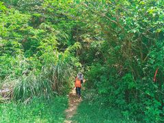 -青龙山国家森林公园