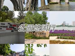 -顺峰山公园