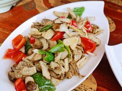 -四姑娘山阿巴郎·藏式花园餐厅