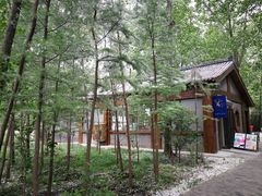 -溱湖国家湿地公园