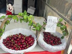 -大连熟食品交易中心
