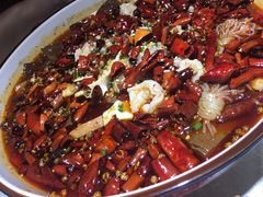 -雲蜀龙阁·金牌水煮鱼(方庄店)