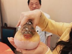 -长顺河豚馆(江洲东路)