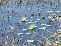 -野鸭湖国家湿地公园