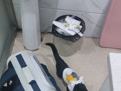 -萌兽医馆·宠物医院·猫骨科(创景店)