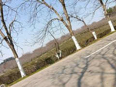 -凤凰沟景区