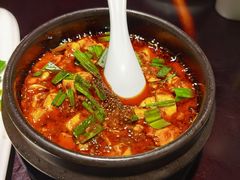 -陈麻婆豆腐总店