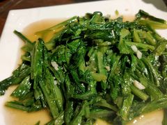 -真定郝家排骨(谈固东街店)