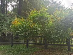 -共青国家森林公园-售票处