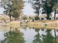 -两河城市森林公园