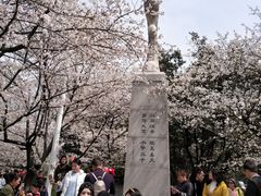 -武汉大学-樱园