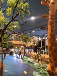 -卡通尼·Safari非洲探索乐园·生日会(金桥国际商业广场店)