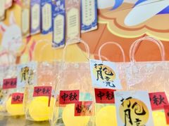 -百变天才机器人编程中心·信奥·VEX竞赛·无人机(金田广场店)