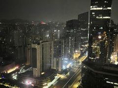 -正佳金殿维福顿公寓(广州正佳广场体育西路地铁站店)