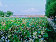 -济南大明湖景区